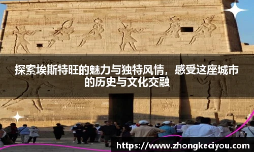 77体育官网